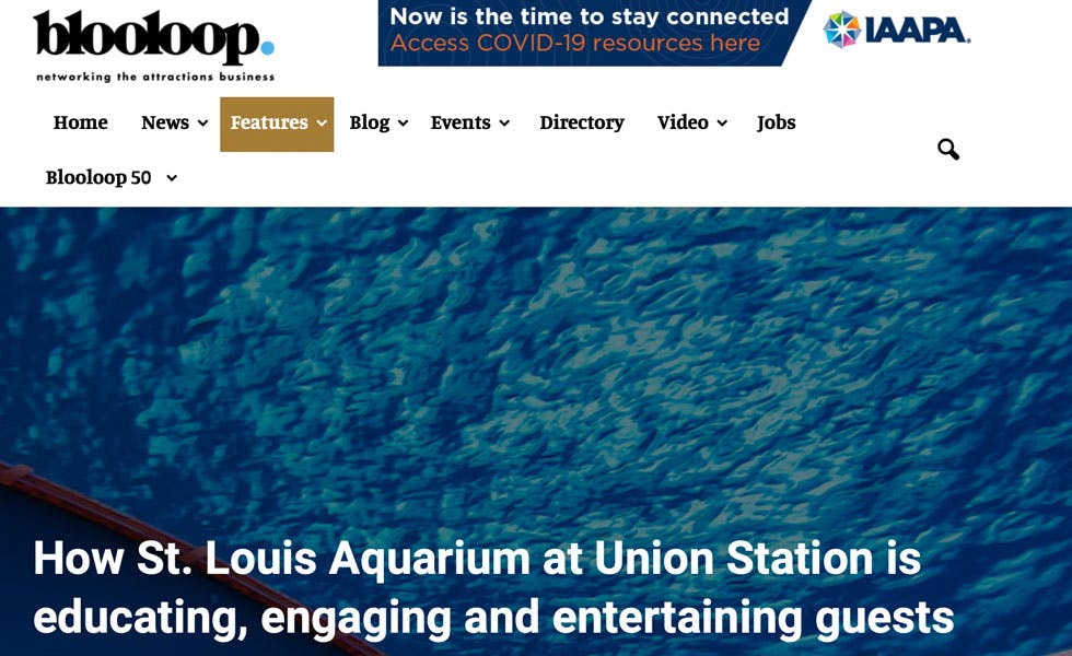 Cover Image for BLOOLOOP – How St. Louis Aquarium at Union Station is educating, engaging and entertaining guests during COVID-19